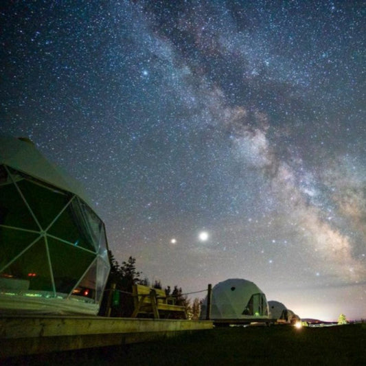 5 Reasons to build a Geodesic Glamping Dome Business in New Zealand