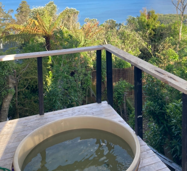 Cedar Cold Plunge Pool